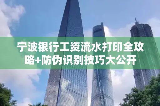 宁波银行工资流水打印全攻略+防伪识别技巧大公开