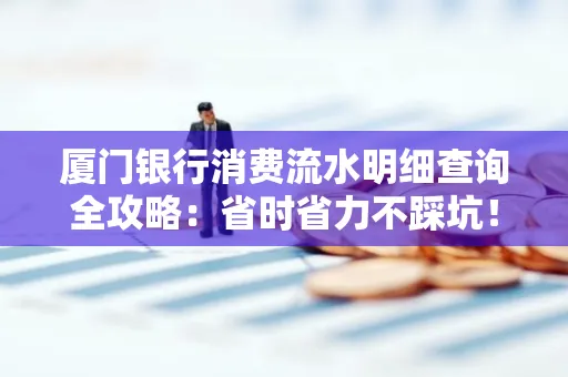 厦门银行消费流水明细查询全攻略：省时省力不踩坑！