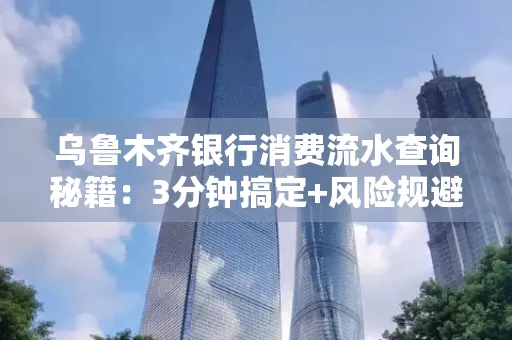 乌鲁木齐银行消费流水查询秘籍：3分钟搞定+风险规避干货