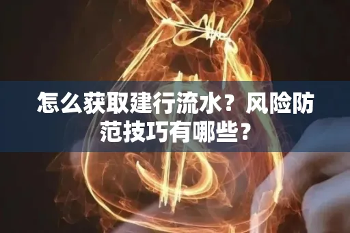 怎么获取建行流水？风险防范技巧有哪些？