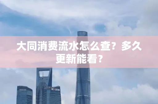 大同消费流水怎么查？多久更新能看？